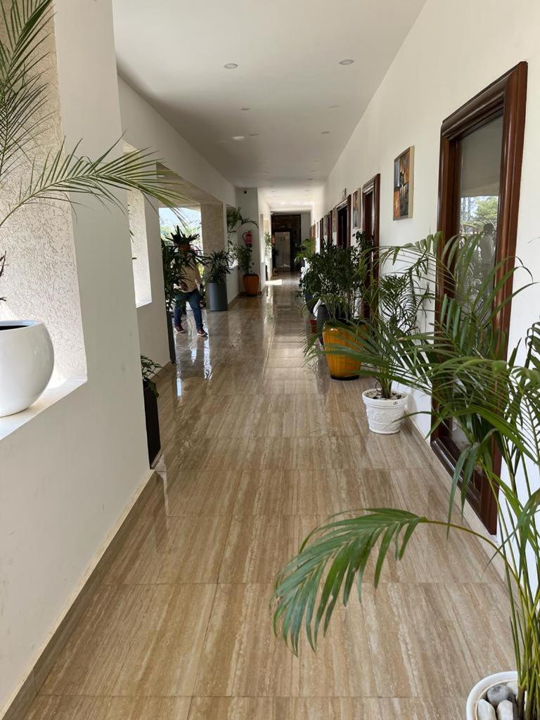 Hotel Eco Park Rewa Экстерьер фото